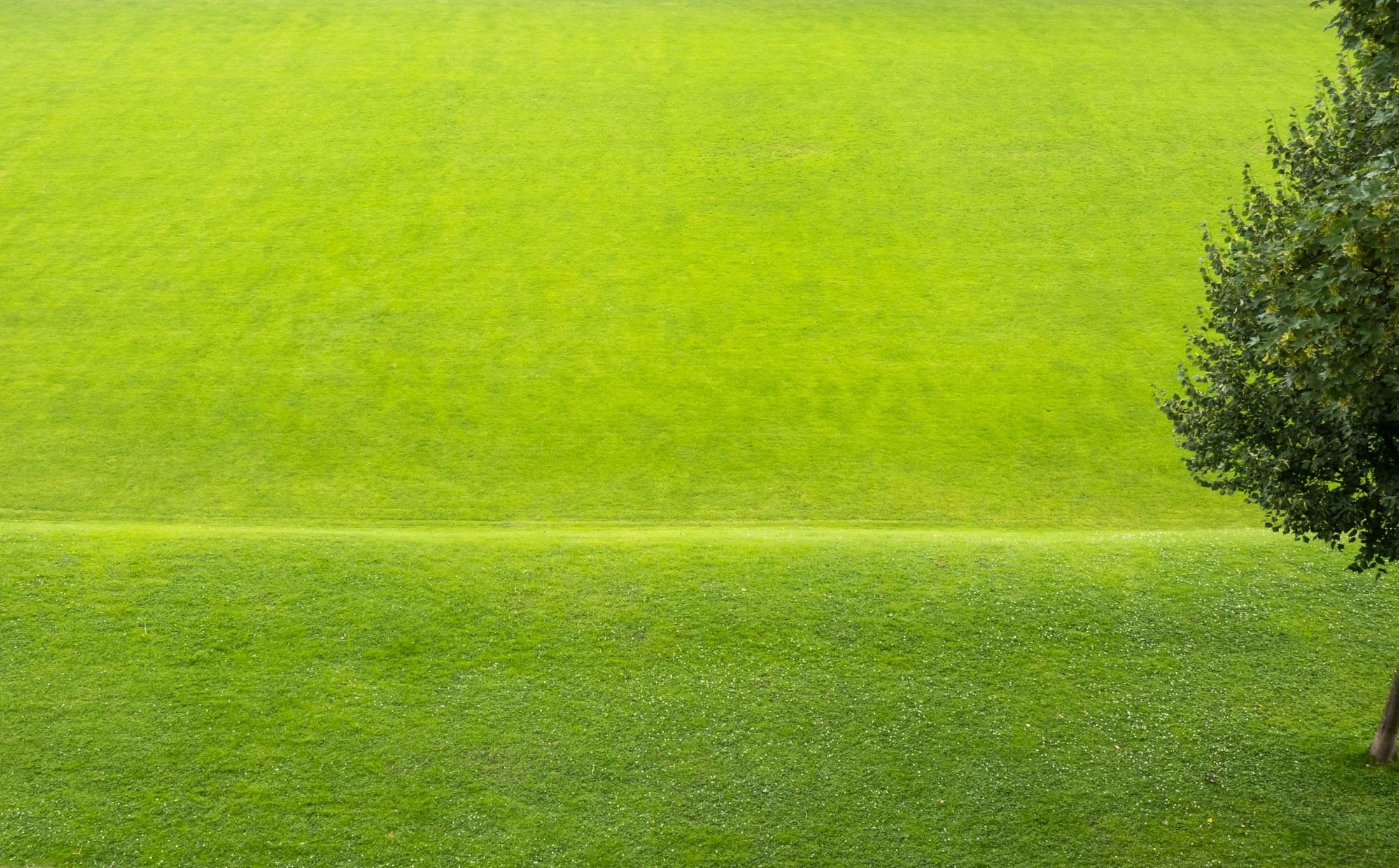Open football field in Thailand representing training and development
